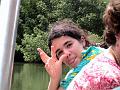 25 - Mangrove 094